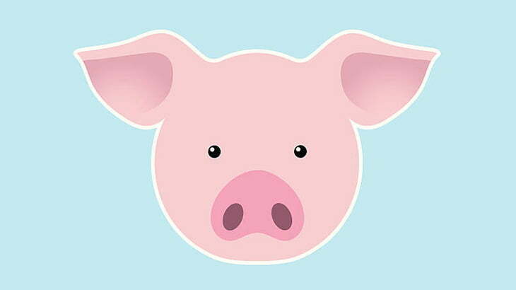 【閲覧注意】豚の頭を機械でバキバキ割るお仕事（動画）