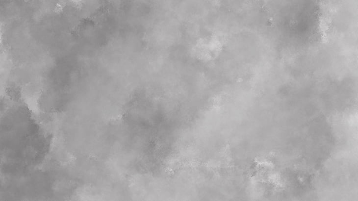 壁の汚れかな？･･･と思いきや（動画）