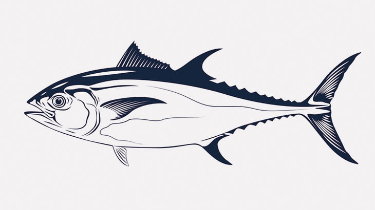 マグロが解体されてお店に並ぶまで（動画）