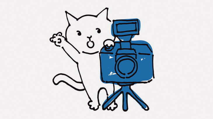 ネコにカメラを付けて日常を撮影してみた２（動画）