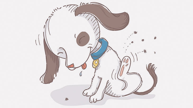 ペットの犬に引っ付いたダニを鳥に食わせてみた（動画）