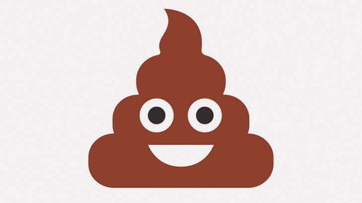 【クソ注意】女「もう無理！」 → 歩道でウンコ（動画）