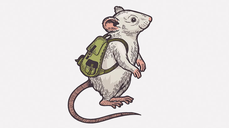 部屋に現れたネズミに大騒ぎな男とネコ（動画）