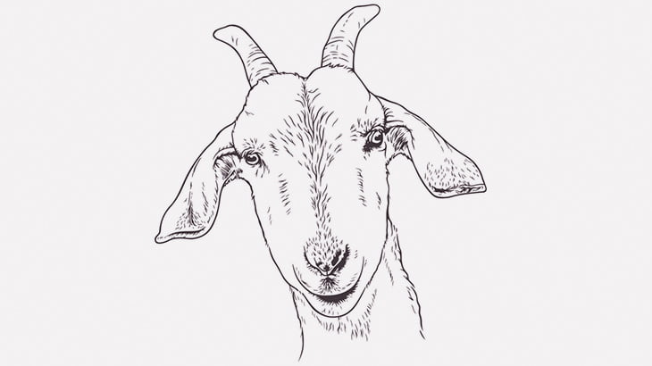 【閲覧注意】女「ヤギの頭を調理して食べるね！」（動画）