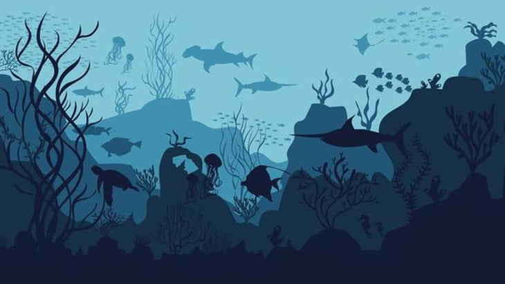 海底でクジラの死体を発見 → コイツらが群がってた･･･（動画）