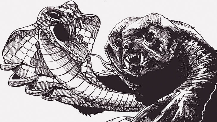 動物がヘビに襲われてる！･･･と思いきや（動画）