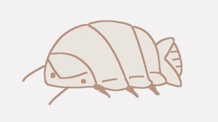 【閲覧注意】ダイオウグソクムシの姿焼き、どうですか？（動画）