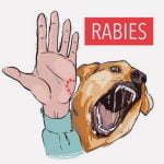狂犬病を発症してしまった女性、もう死ぬしかない･･･
