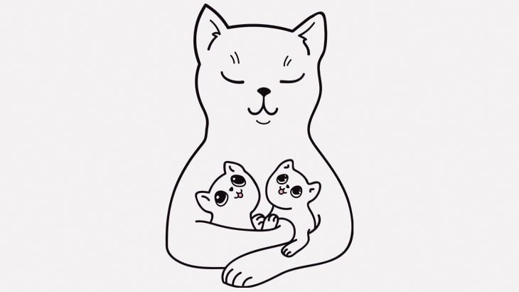 【閲覧注意】ヤバい子猫が産まれてしまう･･･（動画）