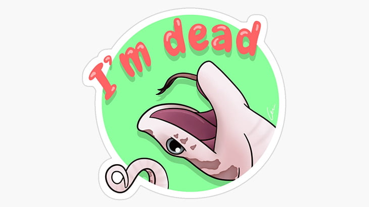 身の危険を感じたヘビさん、すかさず死んだふり（動画）