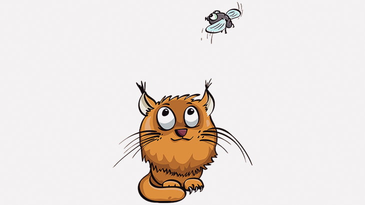 猫がハエを見つめる → 食べる（動画）