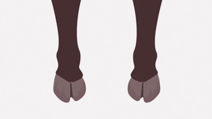 【閲覧注意】女「牛の足を調理して食べよう！」（動画）