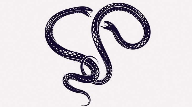 夜の水辺でヘビが変なことになってた･･･（動画）