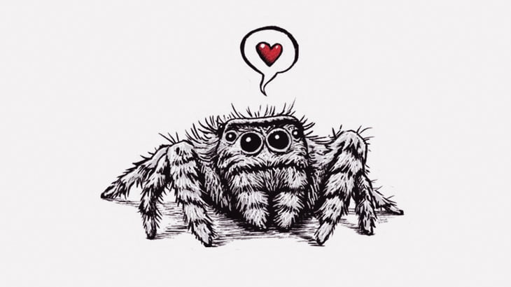 ハエトリグモにハエを捕まえさせてみた（動画）