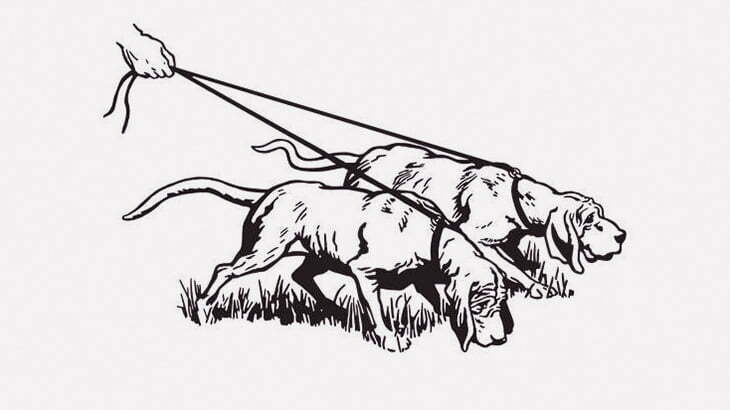 男が連れていた2匹の犬、警官に撃ち殺されてしまう･･･（動画）