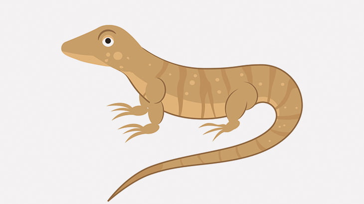 走って逃げようとするトカゲさん、床がツルツル滑って空回り（動画）