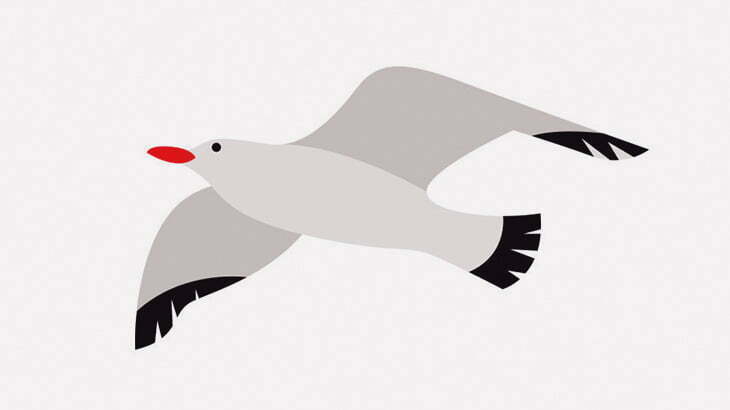 カモメさん、女性が食べているアイスをホバリングしながら強奪（動画）