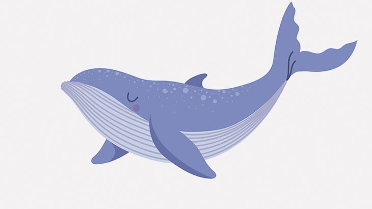 滅多に見られないクジラの「謎の行動」が撮影される（動画）