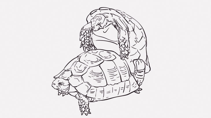 カメさん、3Pセックスしてしまう（動画）