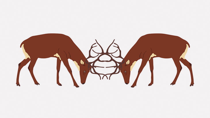 角が絡まって動けなくなっていた２頭のシカ、１頭は後ろ足が食われてる･･･（動画）