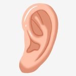 女性の耳から世界最大級の耳クソが摘出される（動画）