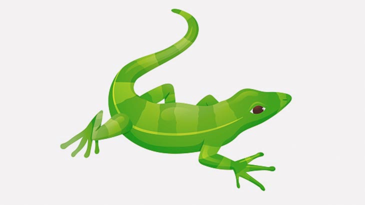 トカゲ「脱皮しよう」 → 皮を自分で剥がす（動画）