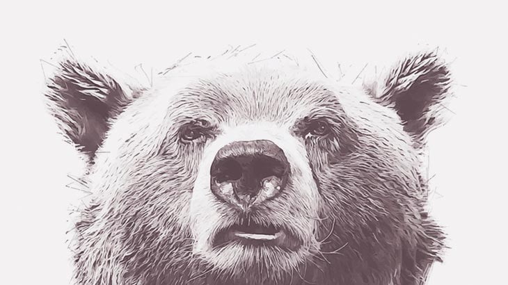 【閲覧注意】この人間たち、全員クマにやられたそうです･･･（画像）