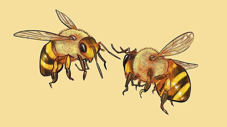 爆発物を探知できるように訓練されるミツバチ（動画）