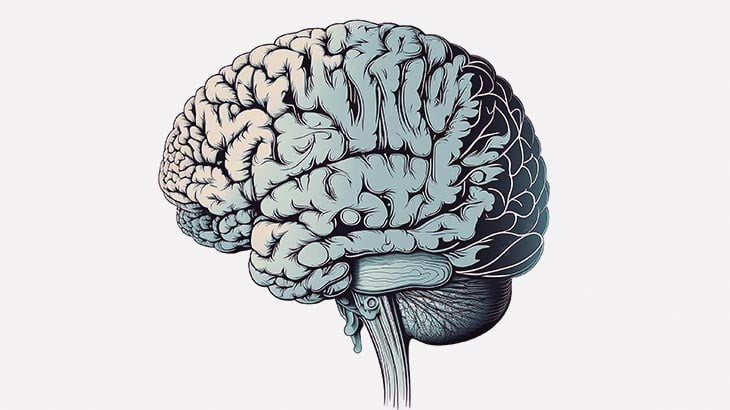 【閲覧注意】とある女性の脳からとんでもないものが見つかる･･･（画像）