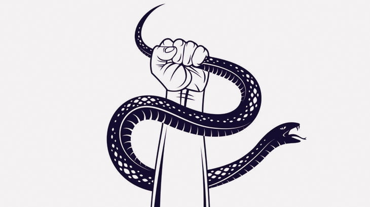 女「デカいヘビ2匹もいるわね」 → 素手で捕まえる（動画）