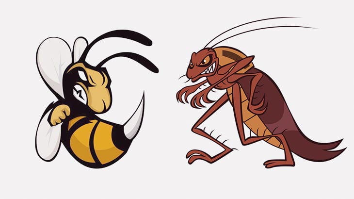 ハチ v.s ゴキブリの戦い。予想外の結末（動画）