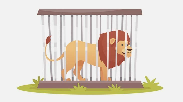 【閲覧注意】飼い主「ライオンに餌あげにいくか」 → 食い殺される（画像）