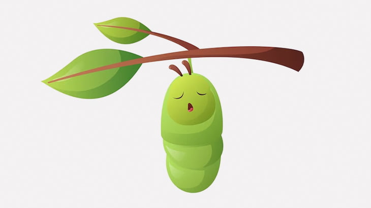 【閲覧注意】男「サナギの中身は最高に美味いんスよ」（動画）