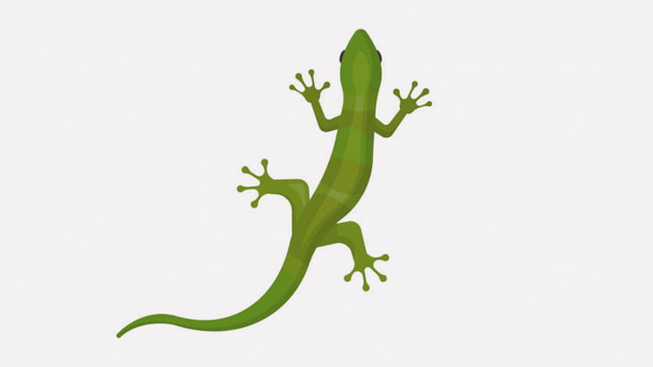 なんかバグったみたいなトカゲが撮影される（動画）