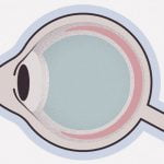 角膜がボコッと飛び出てくる眼疾患「円錐角膜」（動画）