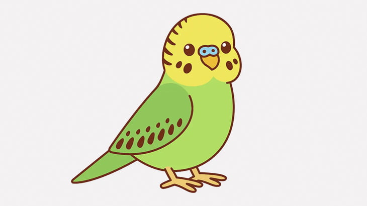 このインコさん、全身の毛が無い（動画）