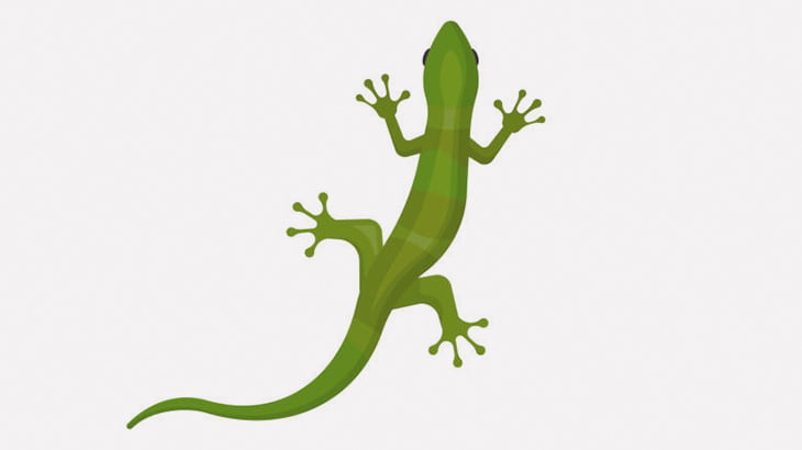 【閲覧注意】トカゲの肉入りチャーハン作って食べるわ（動画）