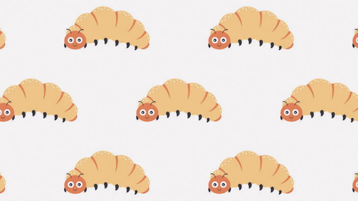 女「大量の幼虫で煮込み作るね！」（動画）