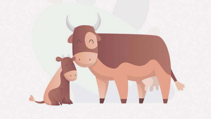 男「生まれる前の牛の胎児は最高に美味いんすよ」（動画）