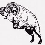 頭突き合いしていた羊さん、サボテンがタマタマに突き刺さって戦意喪失（動画）