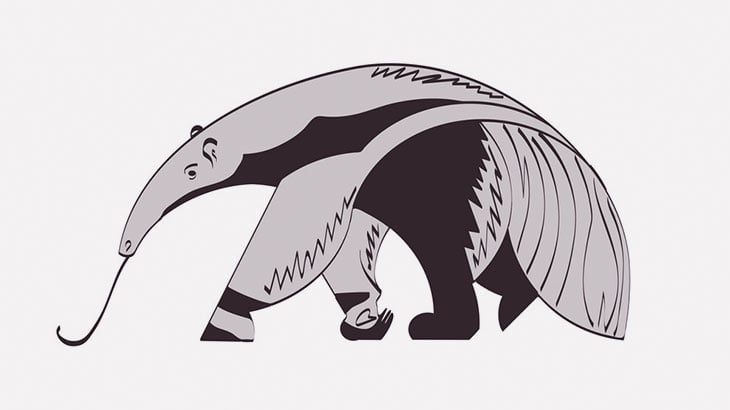 オオアリクイが舌でアリを食べる様子を見てみよう（動画）