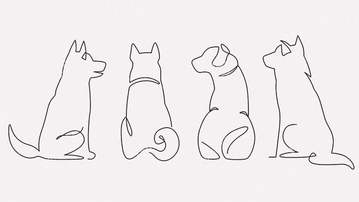 うちの犬、上顎ないけど可愛いでしょ？（動画）