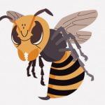オオスズメバチからミツバチを守るトラップを設置してみた（動画）