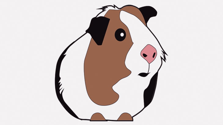 クソガキ「モルモット蹴り飛ばそう！」 → ドッグランにモルモットが入り込んで噛み殺される（動画）