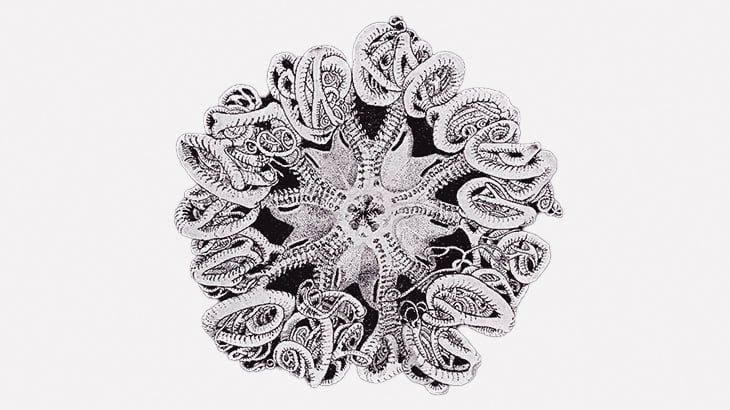 海釣りしてたらめちゃくちゃ気持ち悪い生き物みつけた･･･（動画）