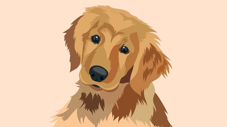 大道芸みたいなバランス感覚を披露するワンコが撮影される（動画）