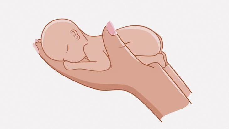 22週目で生まれた未熟児、めちゃくちゃ小さい（動画）