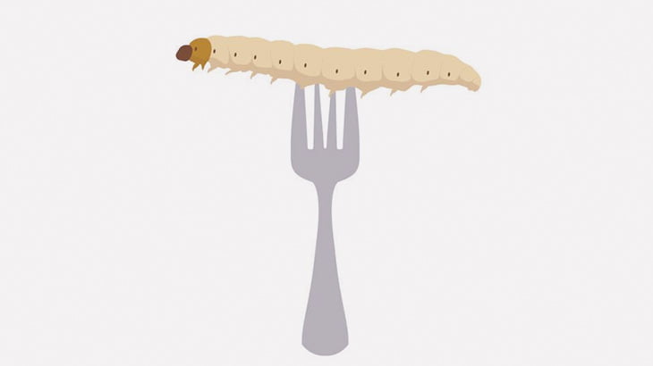 竹の中に入ってるこのワームは最高に美味いんすよ（動画）