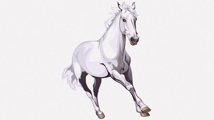 アルビノの馬、あまりにも美しい（動画）