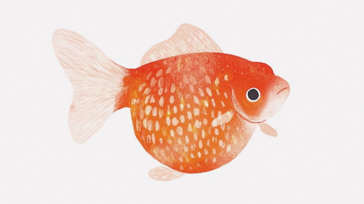水槽の中のフグにひたすら金魚を食わせてみた